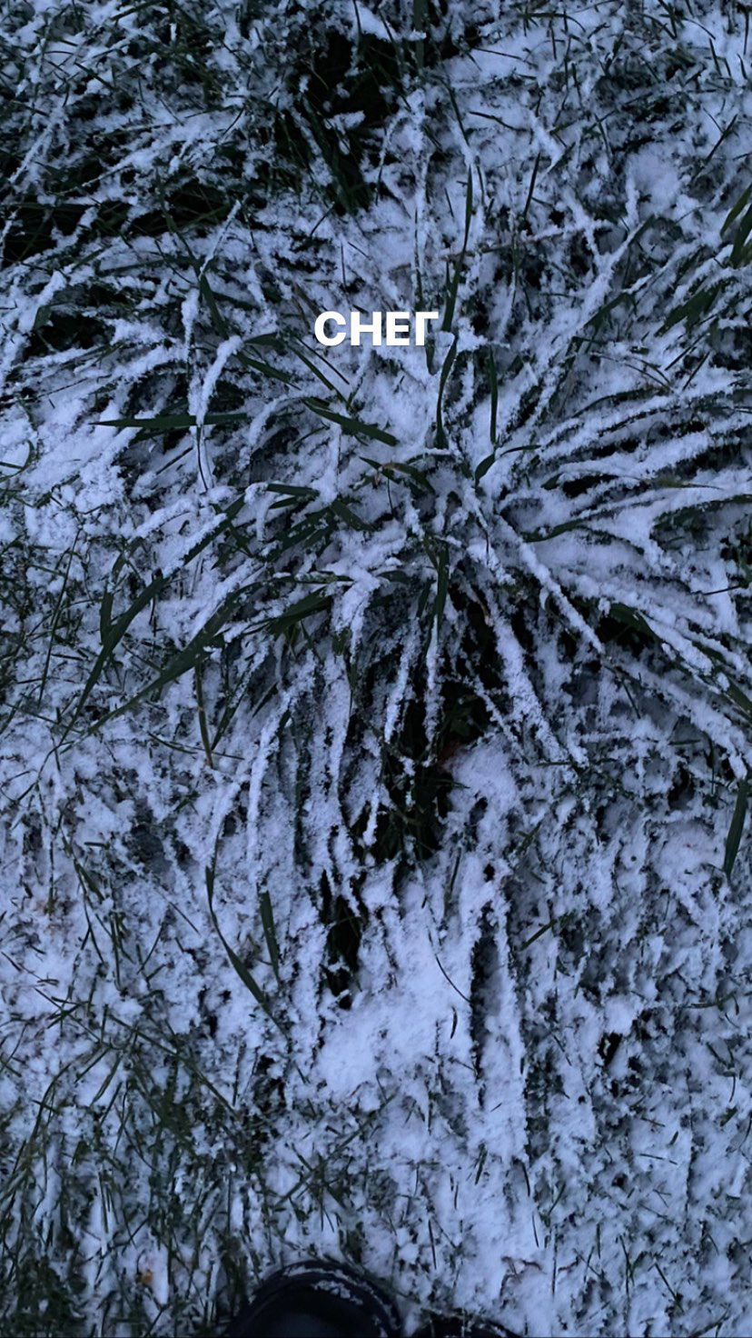 toriawashere instagram image archive image