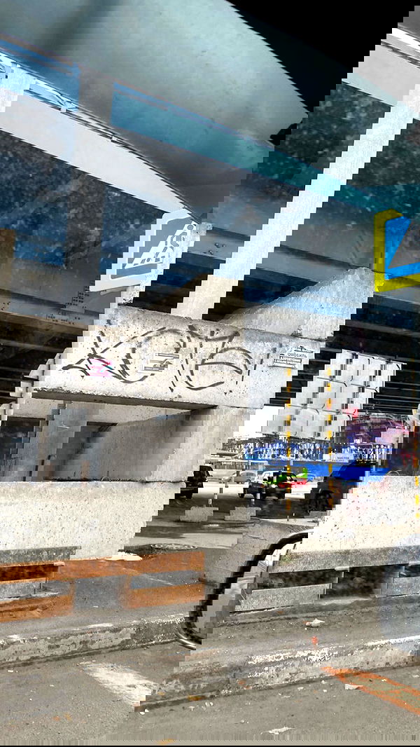 toriawashere image ~ Altpins