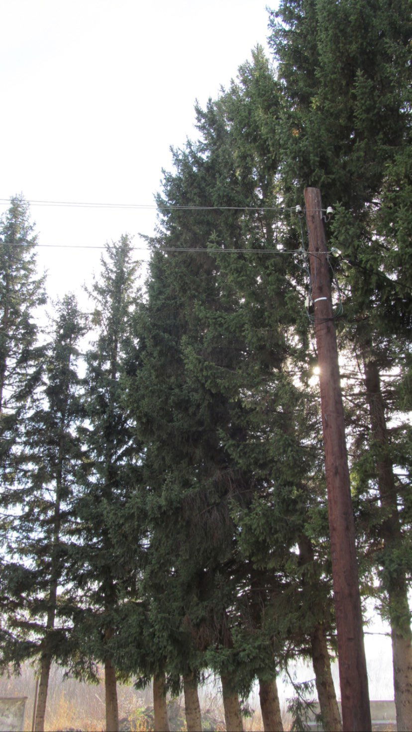 toriawashere instagram image archive image