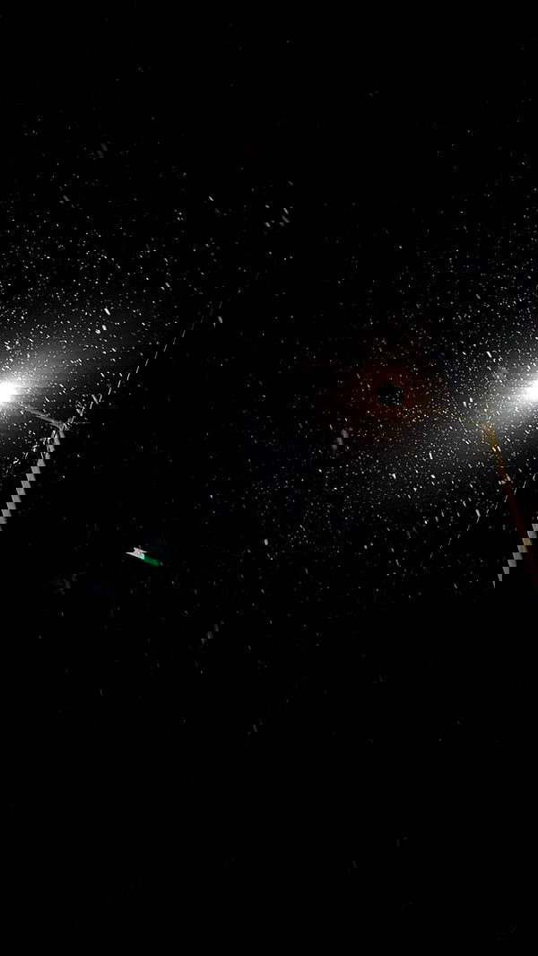 toriawashere image ~ Altpins