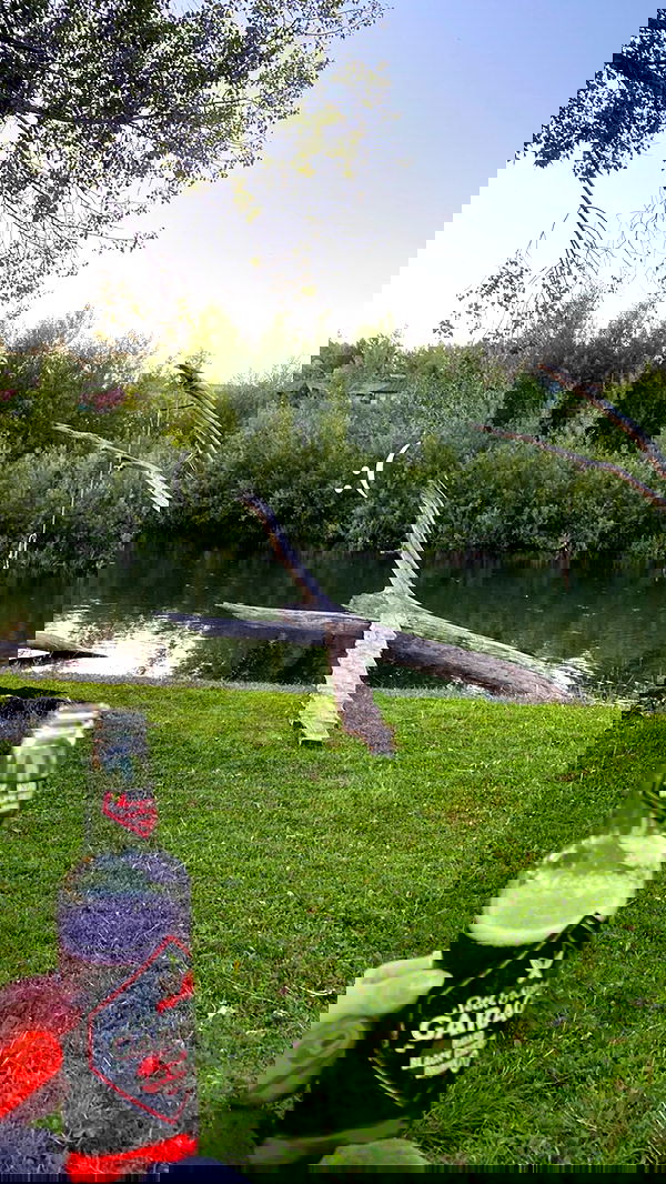 toriawashere image ~ Altpins