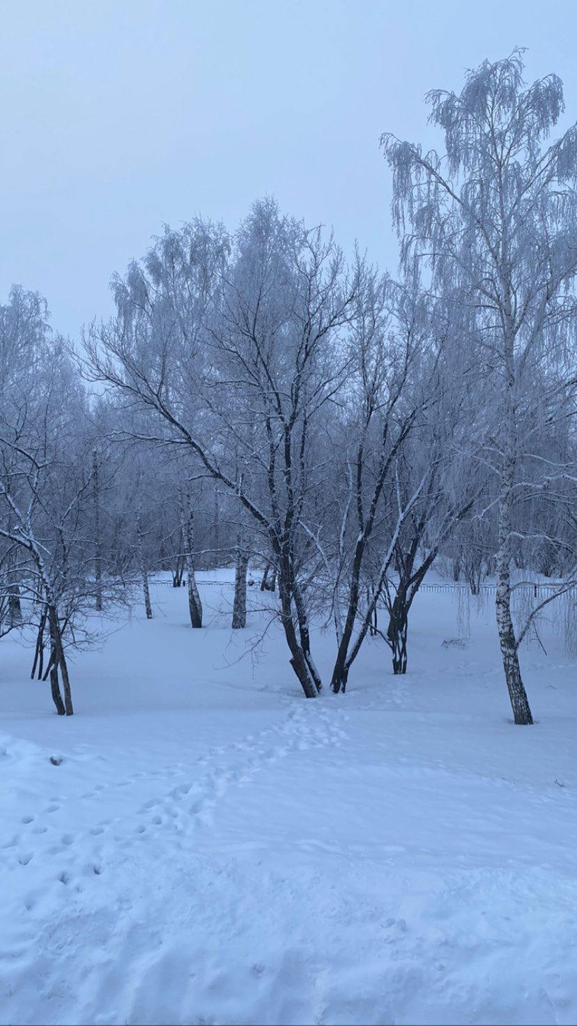 toriawashere instagram image archive image