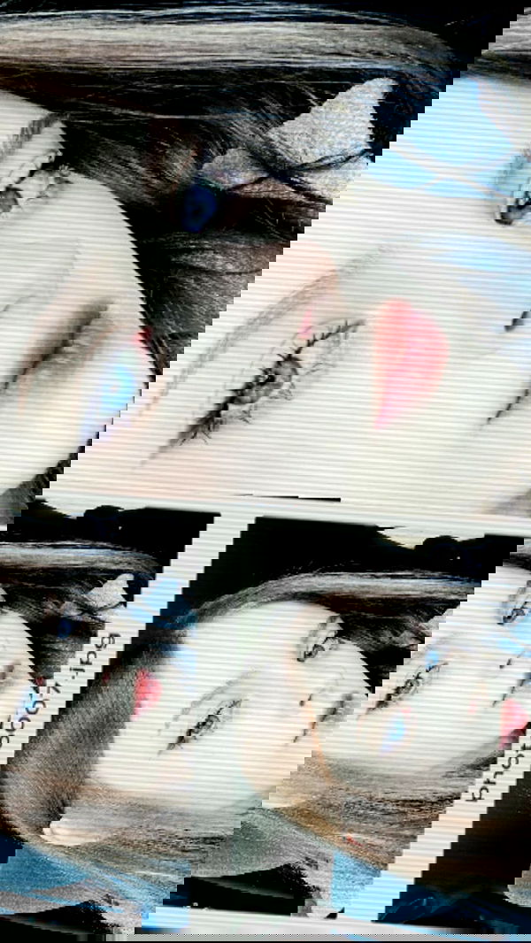 toriawashere image ~ Altpins