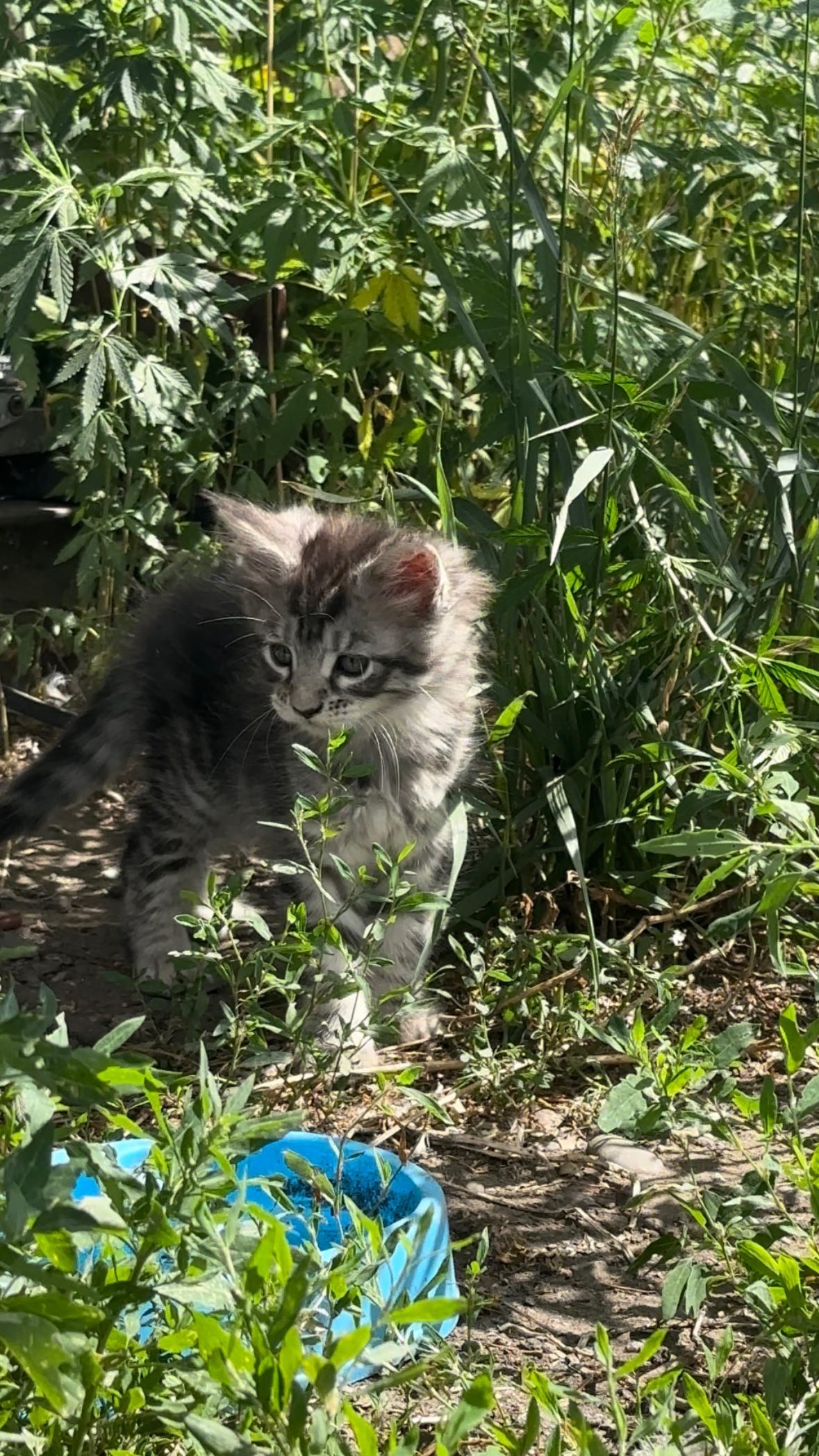 toriawashere instagram image archive image