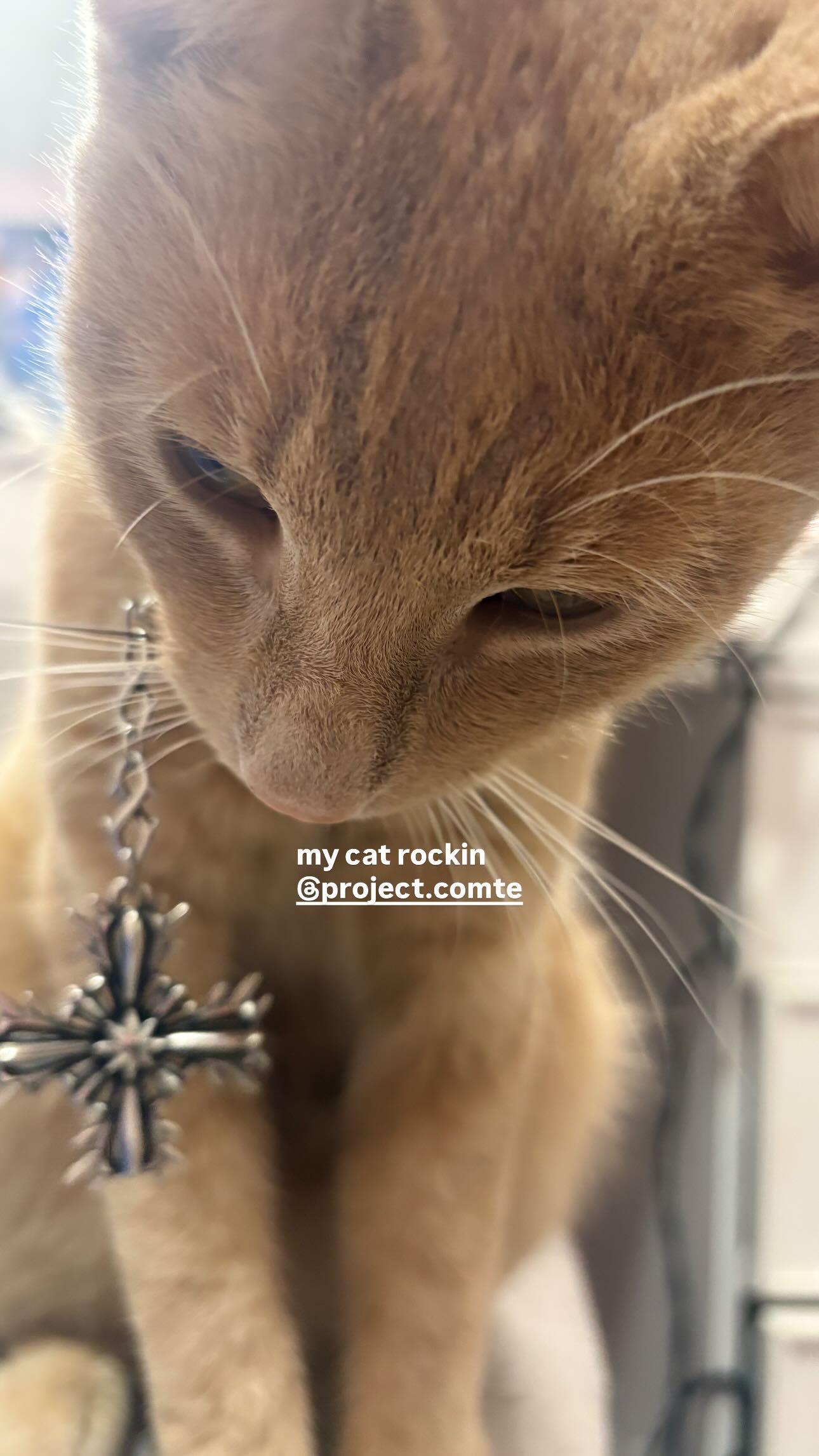 tsukiyanas instagram image archive image