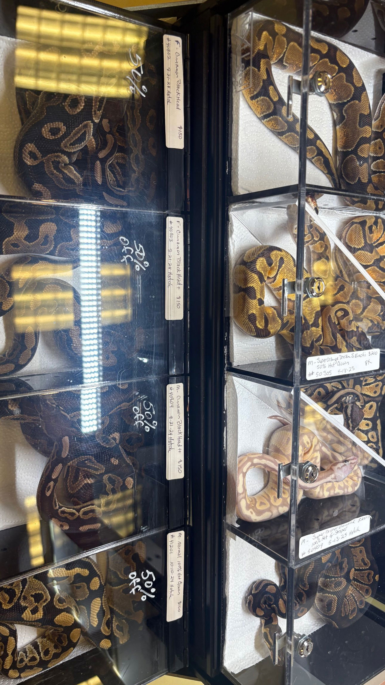 tsukiyanas instagram image archive image