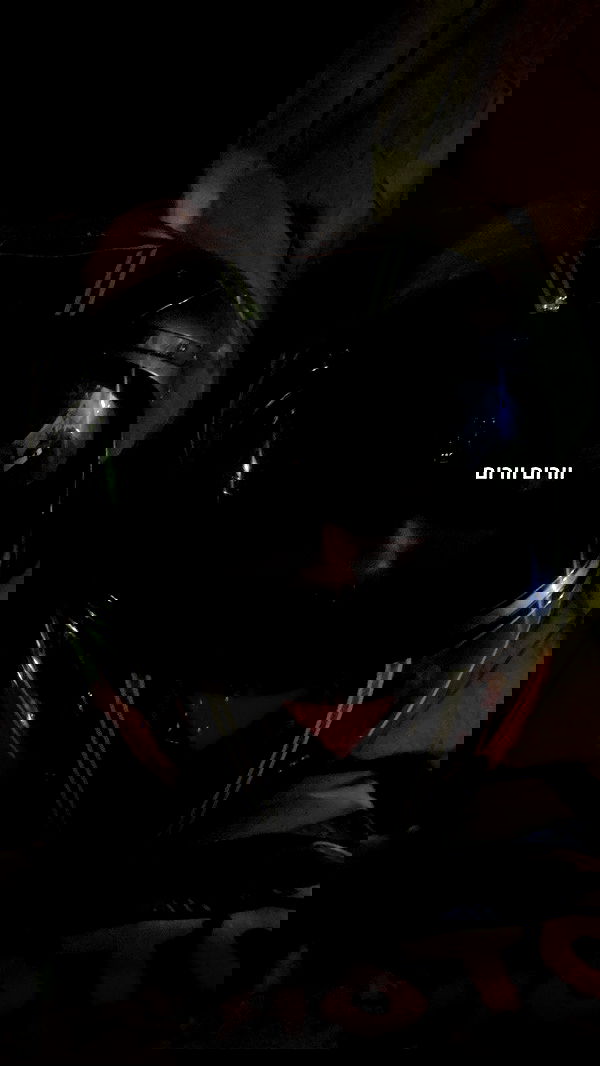 tuliish_ image ~ Altpins