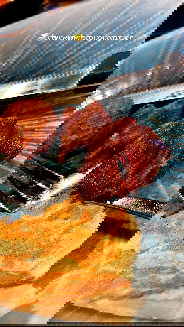 tuliish_ image ~ Altpins