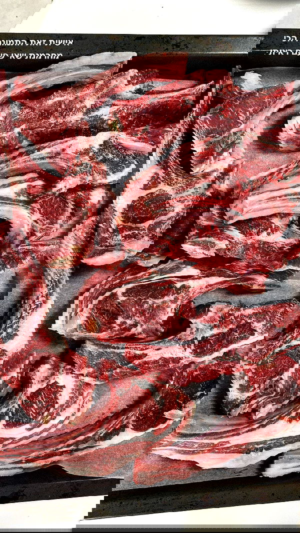 tuliish_ image ~ Altpins