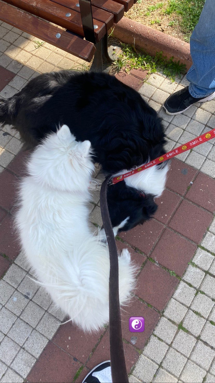 tuliish_ instagram image archive image