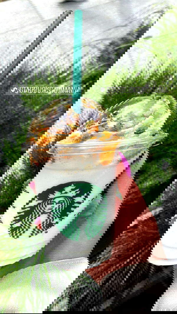 tuliish_ image ~ Altpins