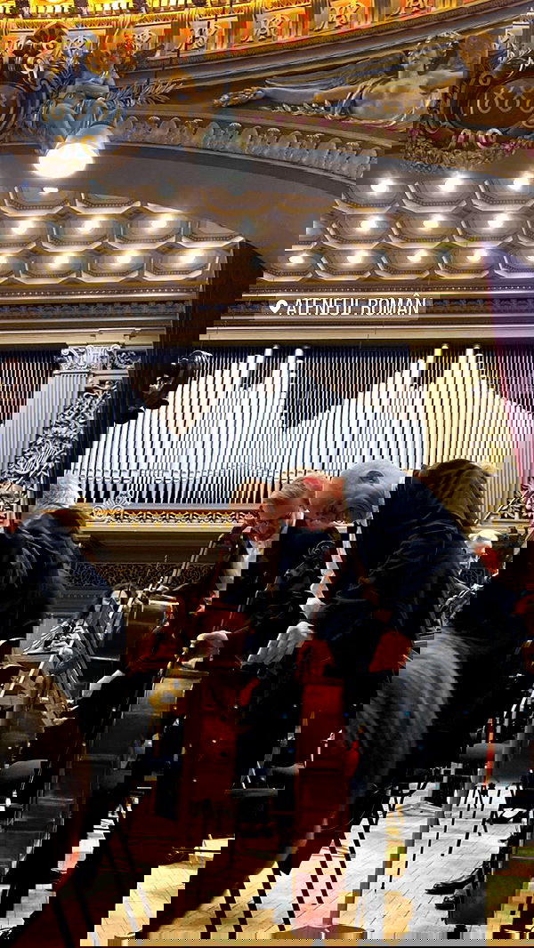 tuliish_ image ~ Altpins