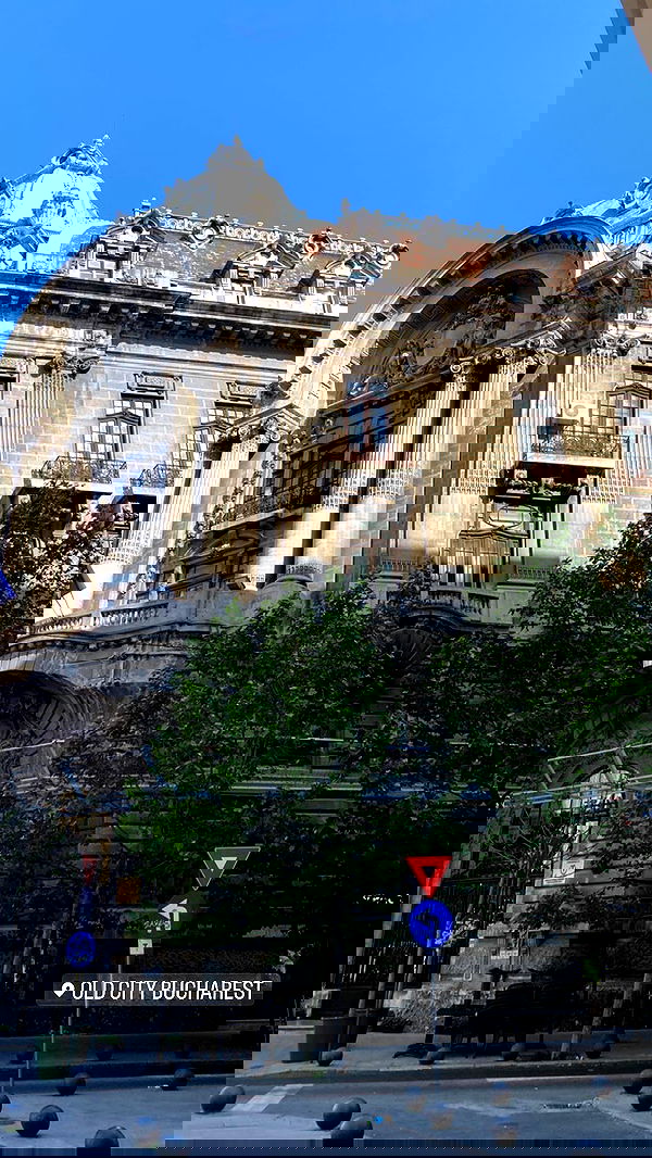 tuliish_ image ~ Altpins