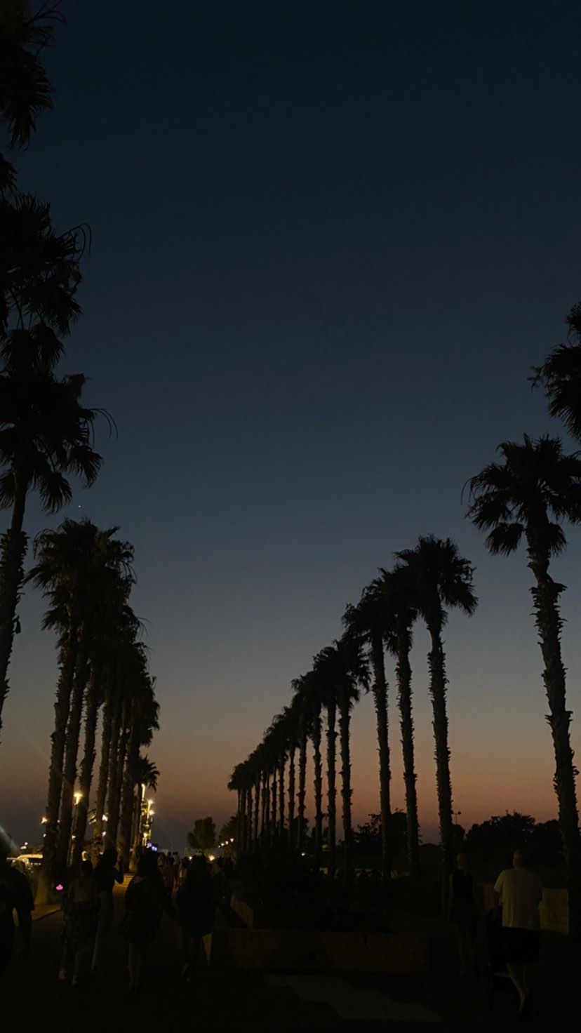 tuliish_ instagram image archive image