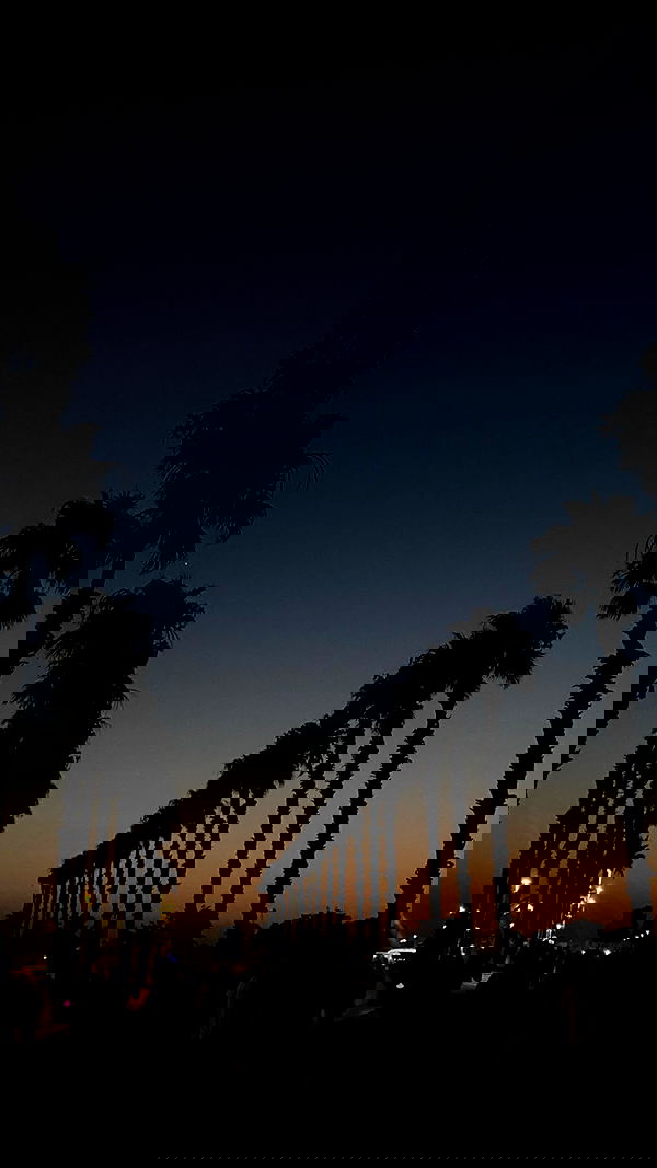 tuliish_ image ~ Altpins