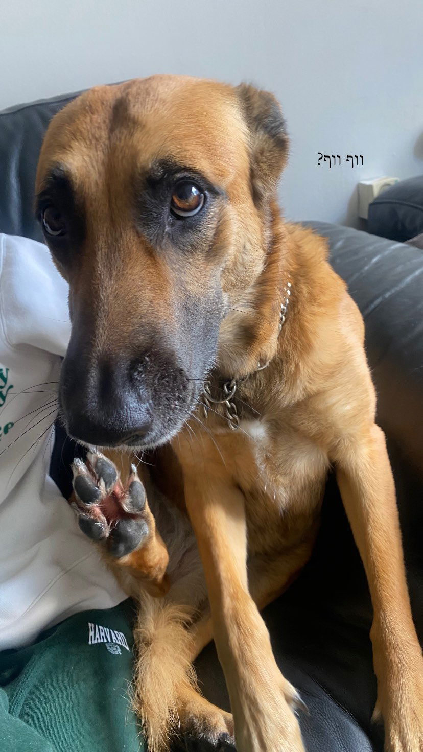 tuliish_ instagram image archive image