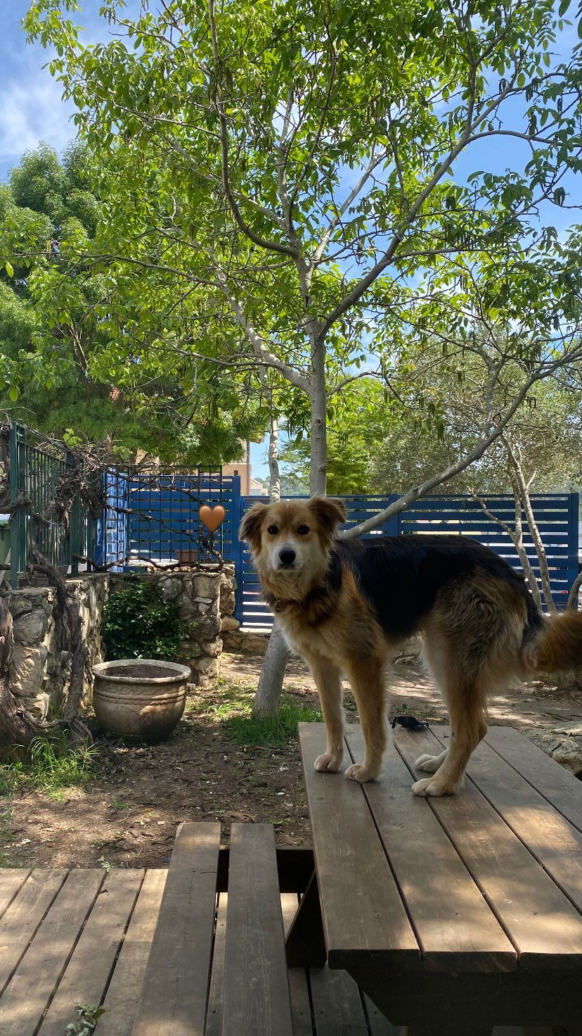 tuliish_ instagram image archive image