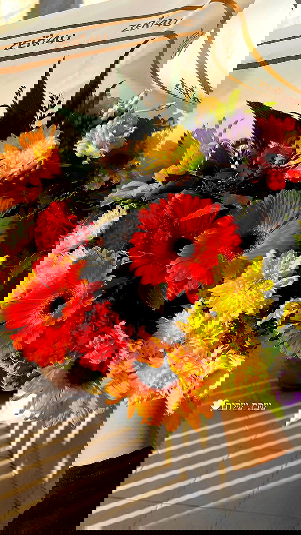 tuliish_ image ~ Altpins