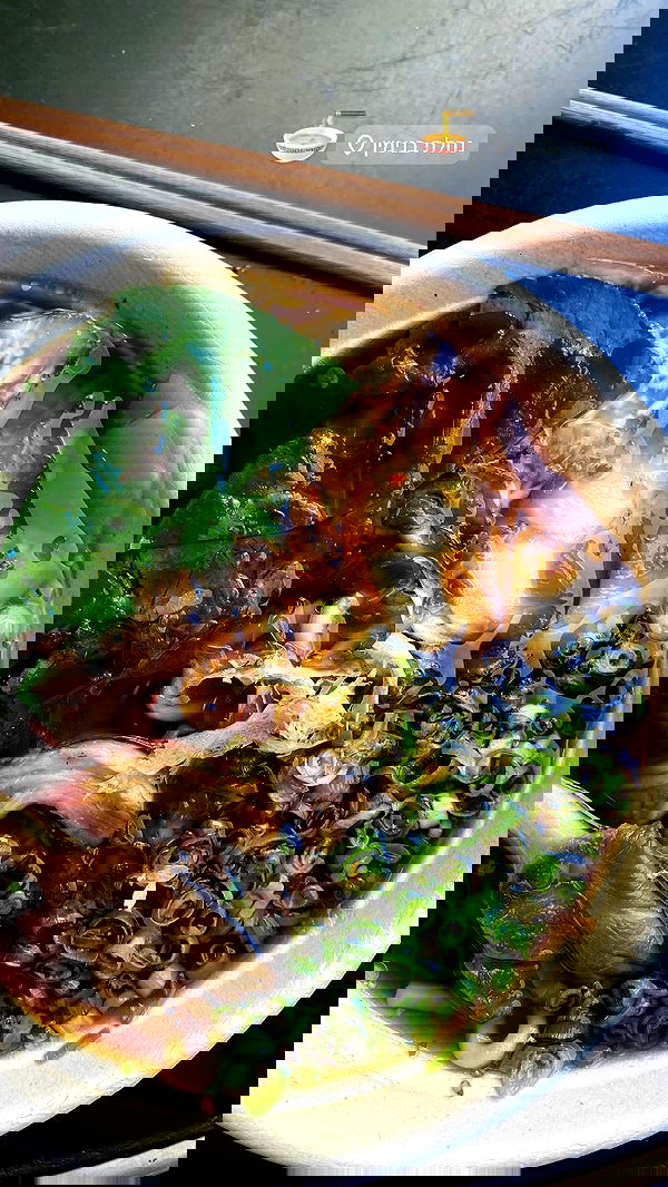 tuliish_ image ~ Altpins