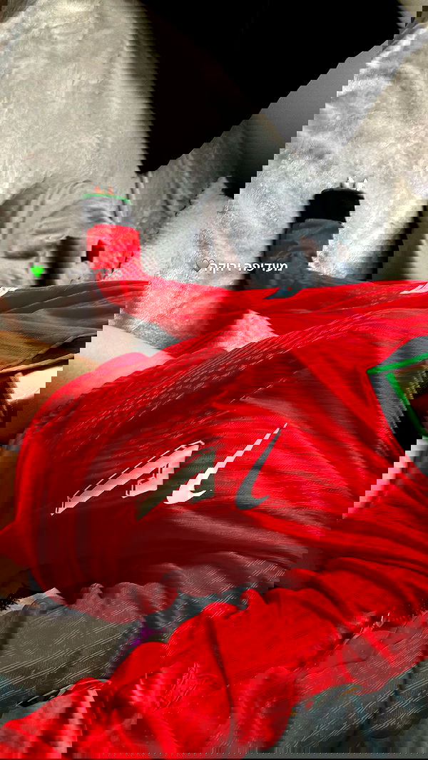 tuliish_ image ~ Altpins