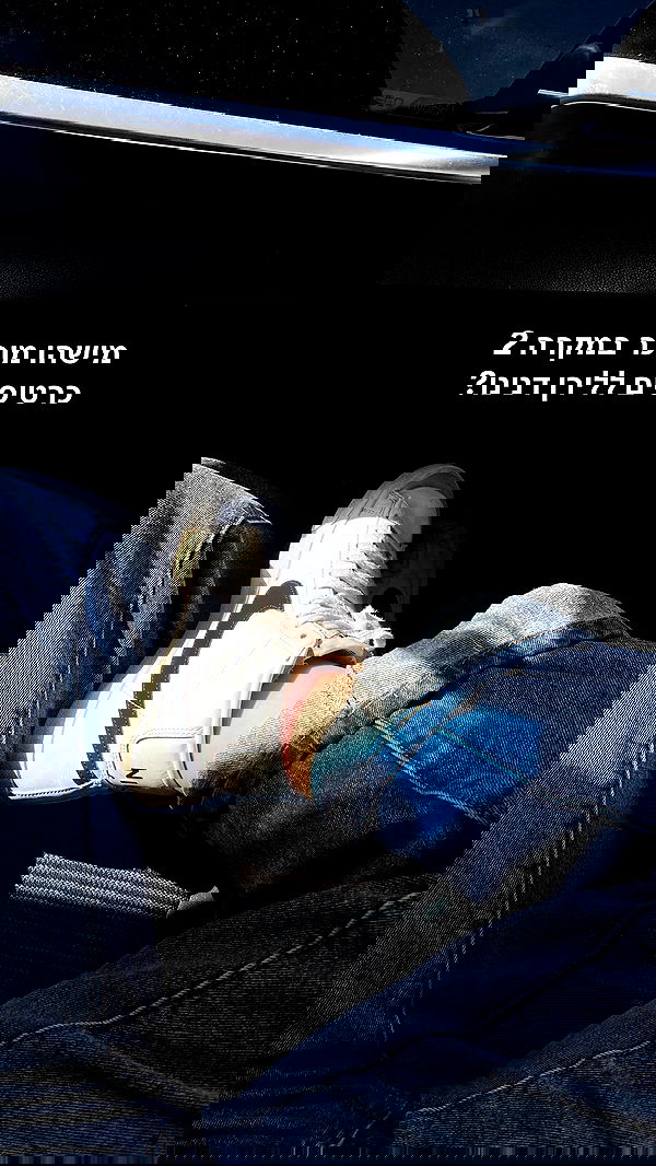 tuliish_ image ~ Altpins