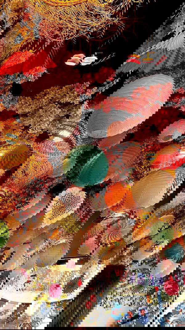 tuliish_ image ~ Altpins