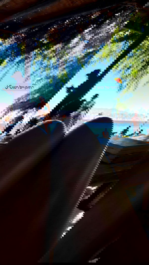 tuliish_ image ~ Altpins