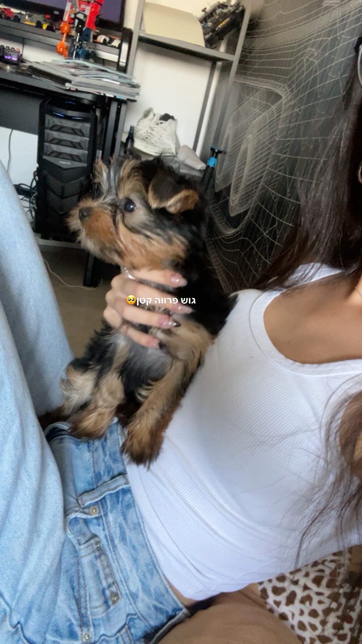 tuliish_ instagram image archive image