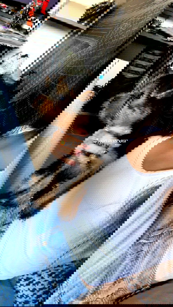 tuliish_ image ~ Altpins