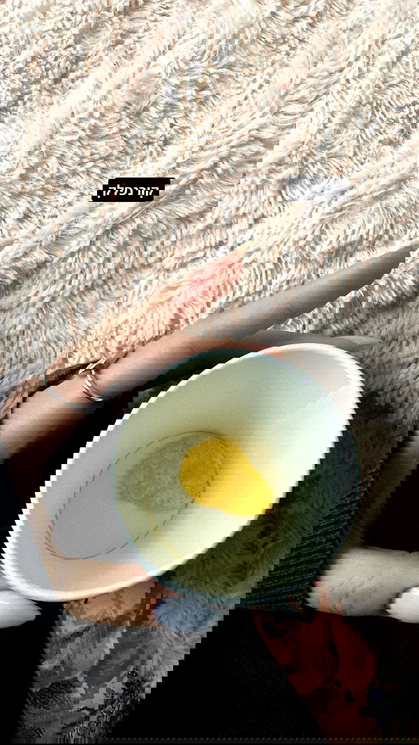 tuliprivet tuliprivet archive image