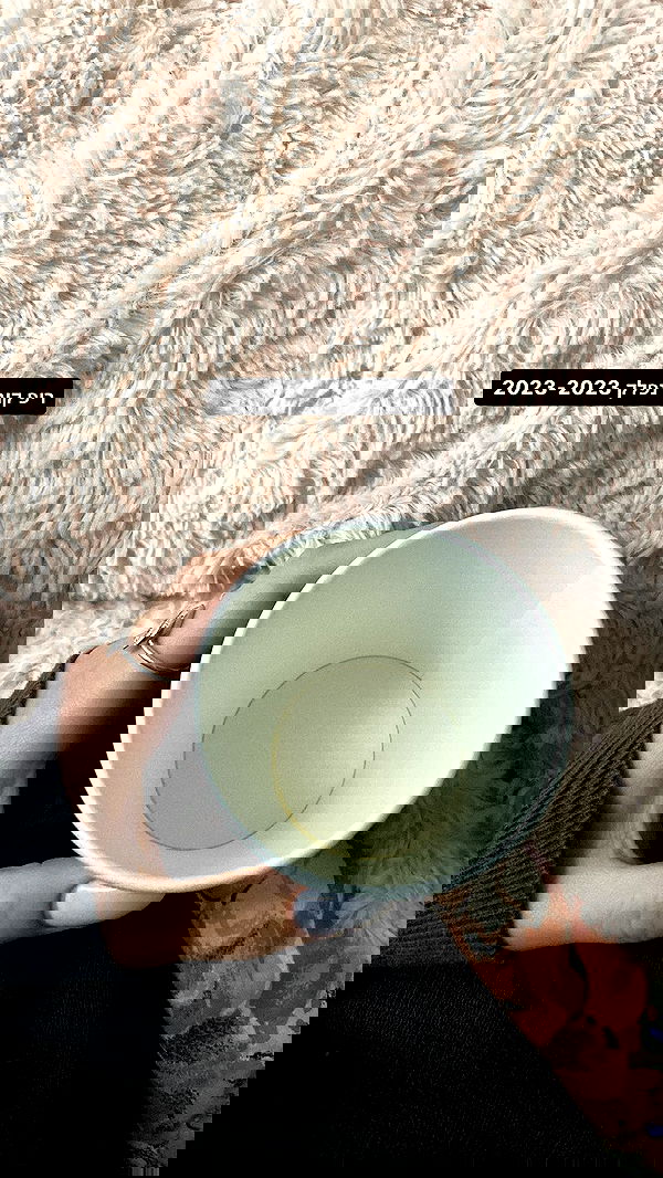 tuliprivet tuliprivet archive image