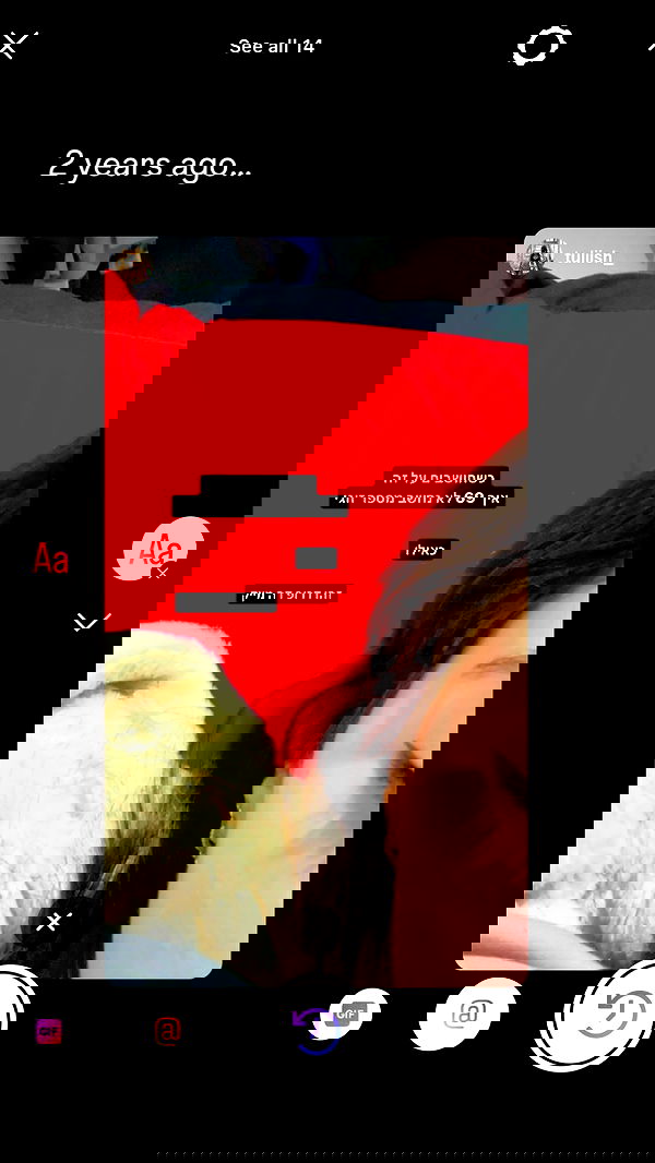 tuliprivet tuliprivet archive image