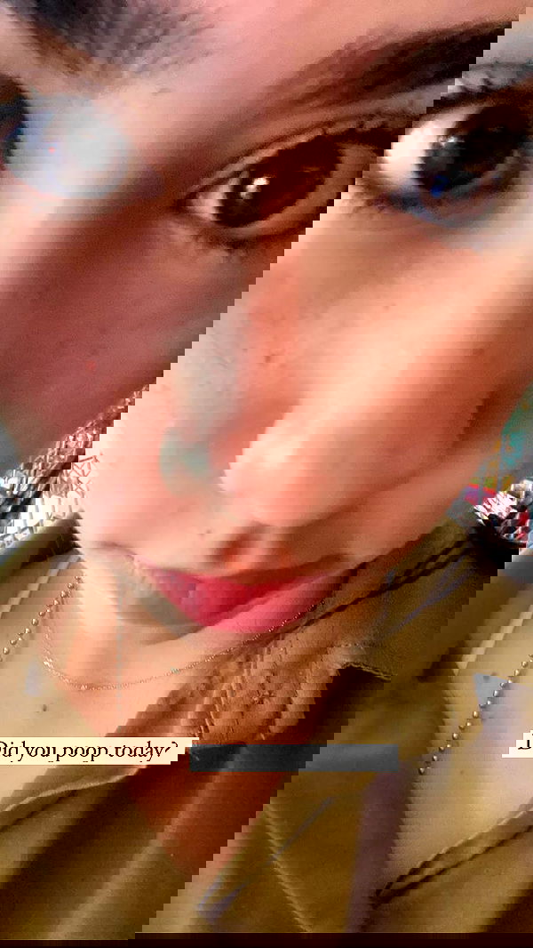 tuliprivet tuliprivet archive image