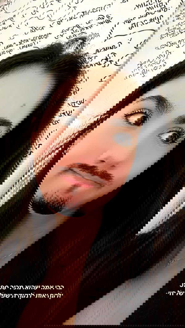 tuliprivet tuliprivet archive image