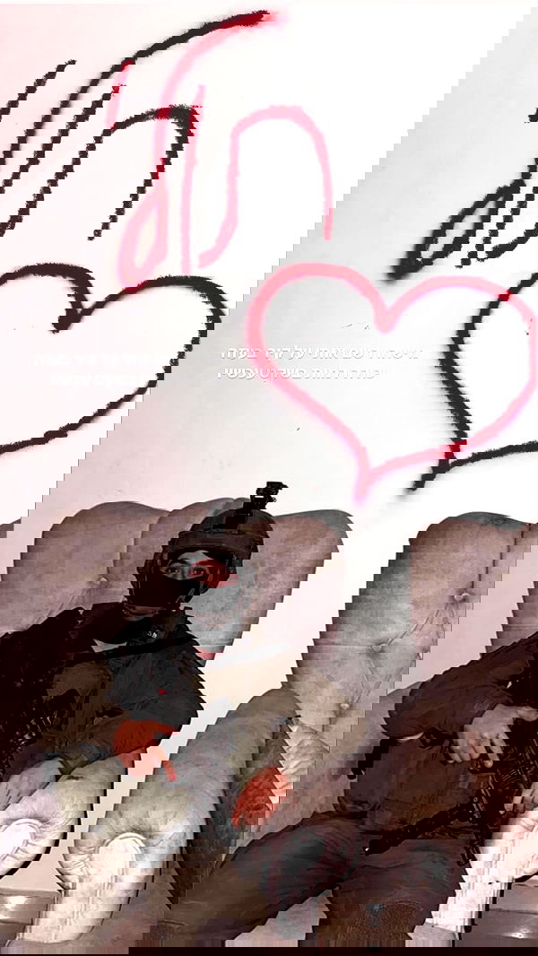 tuliprivet tuliprivet archive image