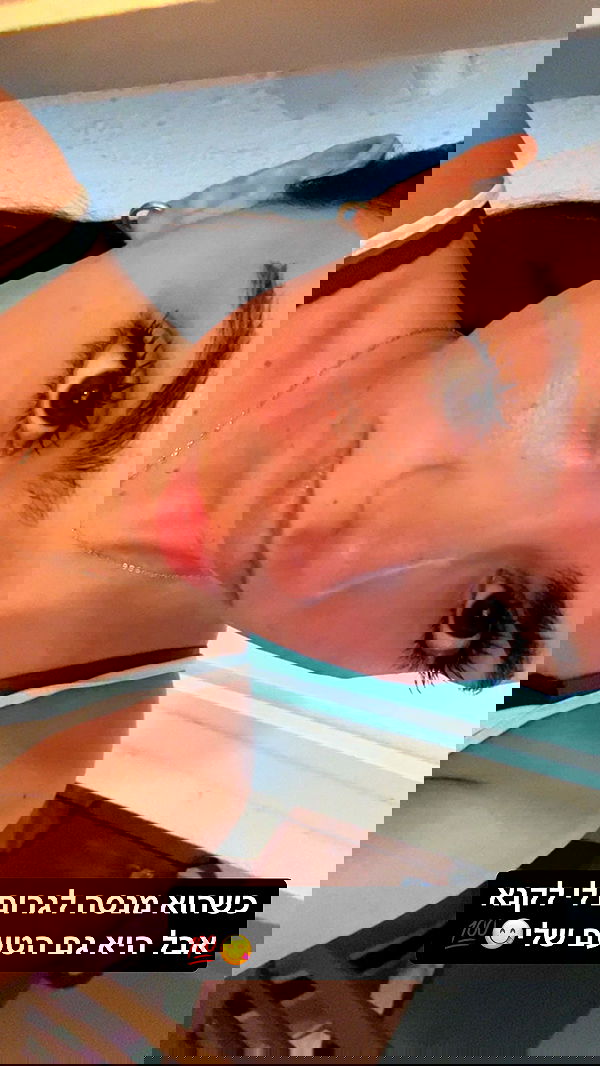 tuliprivet tuliprivet archive image