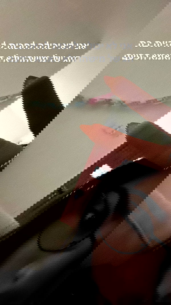 tuliprivet tuliprivet archive image