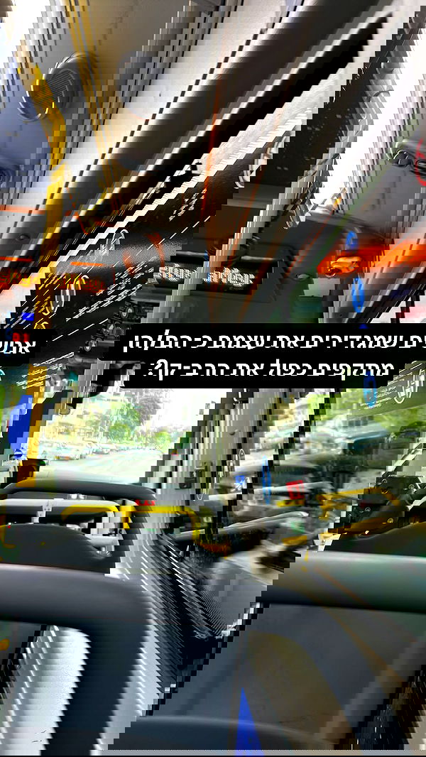 tuliprivet tuliprivet archive image