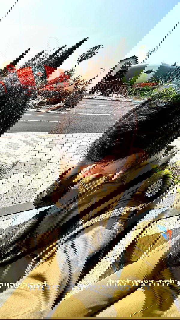 tuliprivet tuliprivet archive image