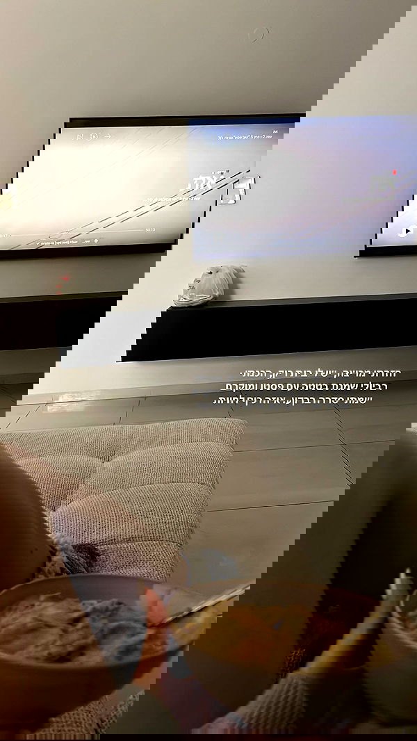 tuliprivet tuliprivet archive image