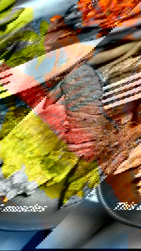 tuliprivet tuliprivet archive image