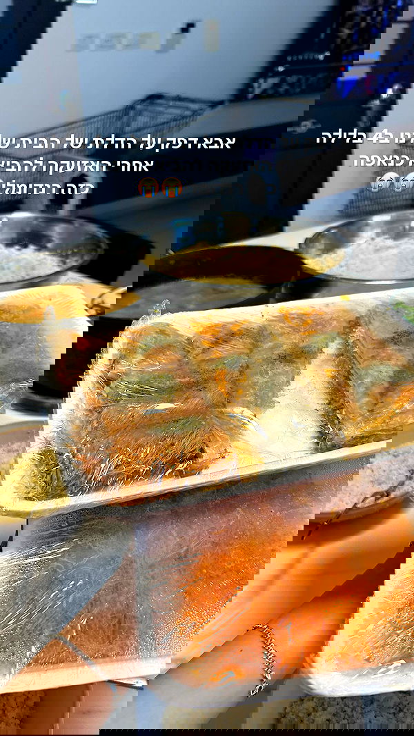 tuliprivet tuliprivet archive image