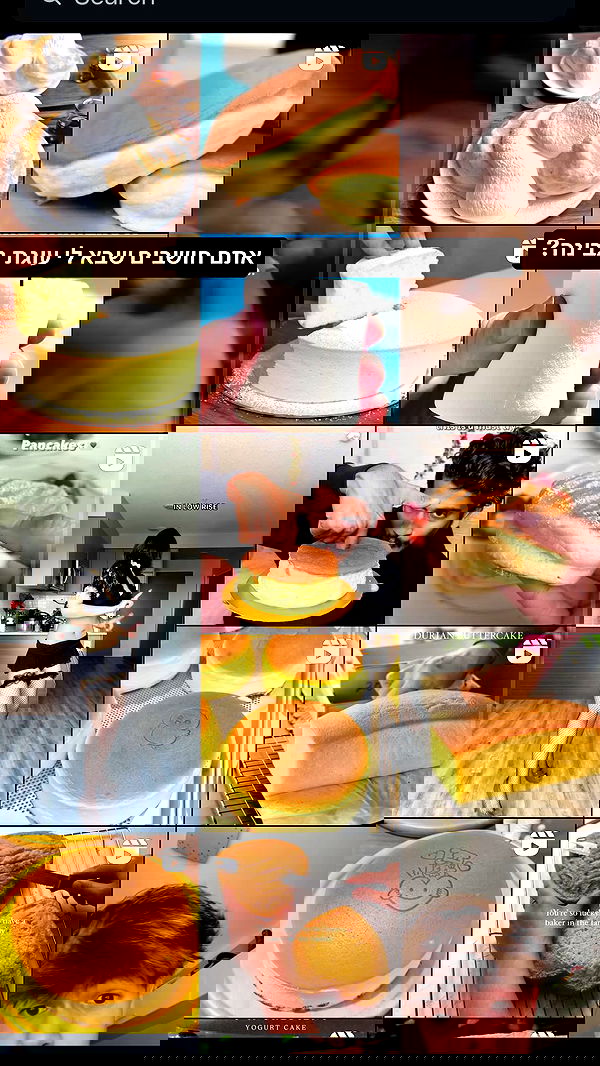 tuliprivet tuliprivet archive image