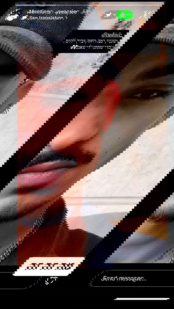 tuliprivet tuliprivet archive image