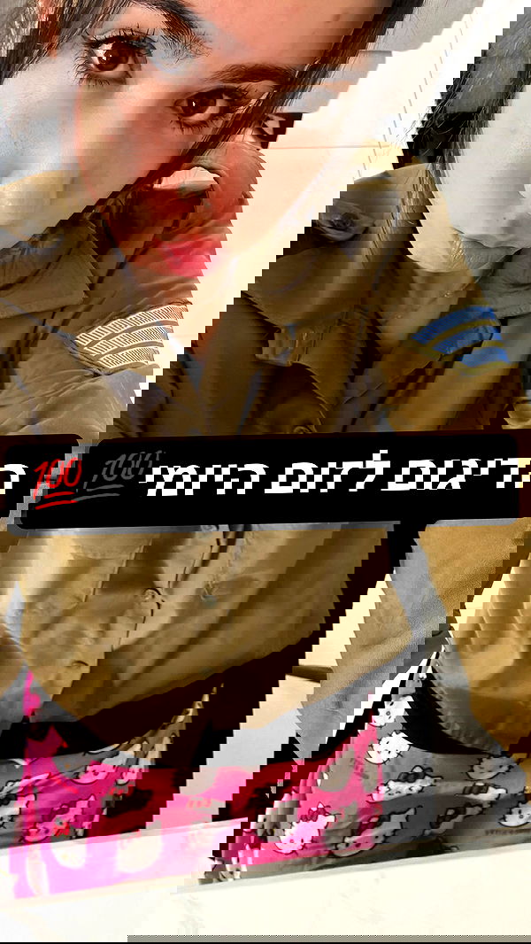 tuliprivet tuliprivet archive image