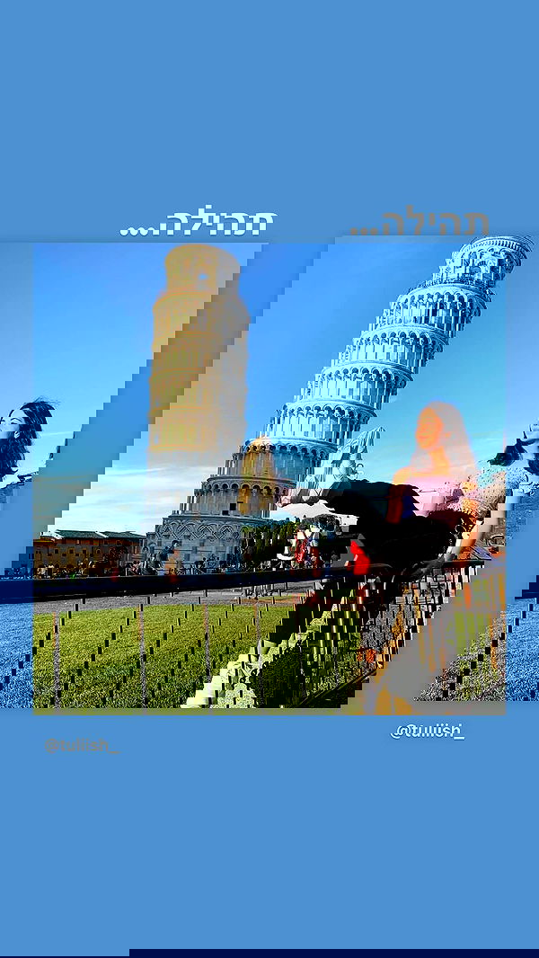 tuliprivet tuliprivet archive image