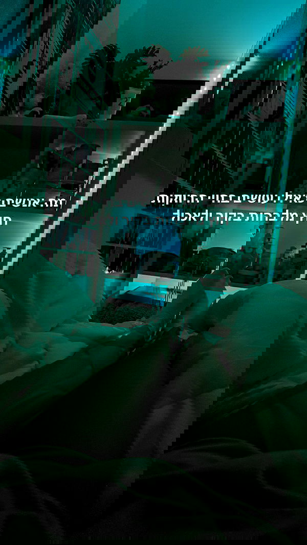 tuliprivet tuliprivet archive image