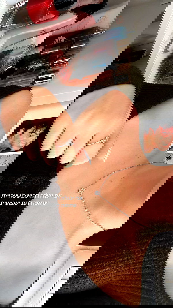 tuliprivet tuliprivet archive image