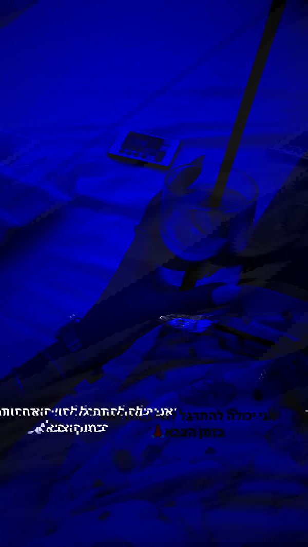 tuliprivet tuliprivet archive image