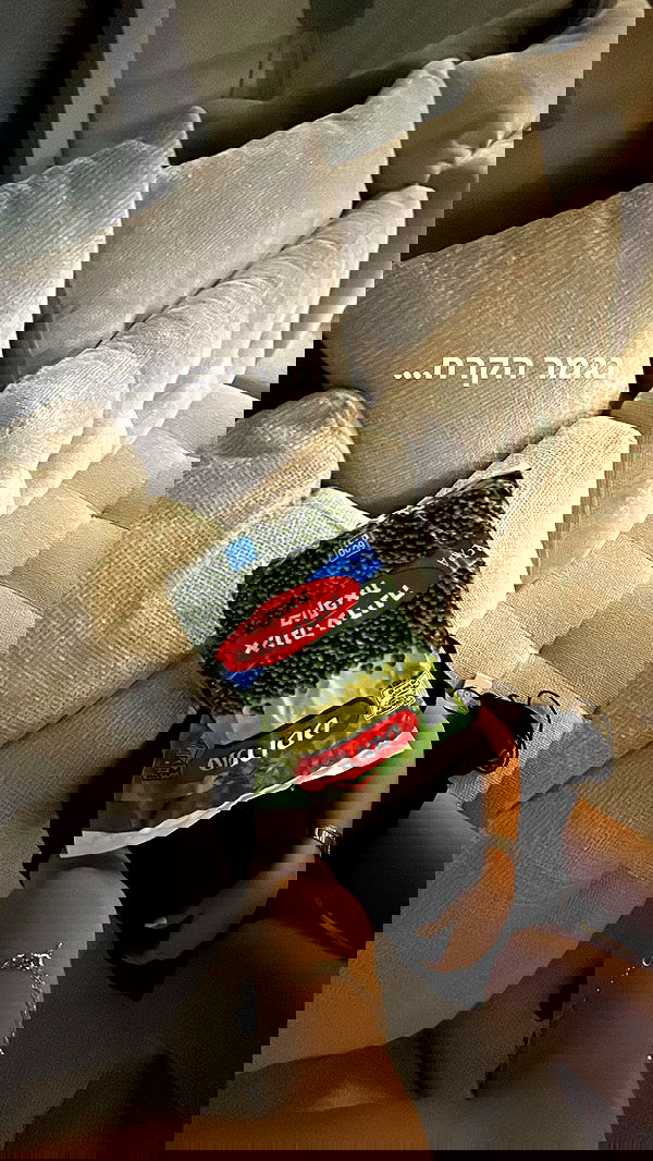 tuliprivet tuliprivet archive image